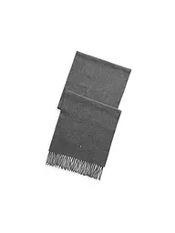 POLO RALPH LAUREN | Sciarpa | Grigio chiaro