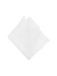 PROFUOMO | Fazzoletto da taschino | Bianco
