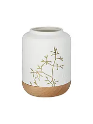 RAEDER | Luce 10,8 cm Ramo dorato | Bianco