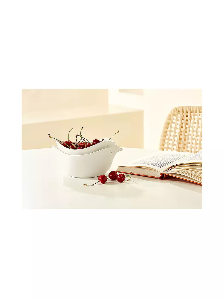 RAEDER | Set di 2 ciotole 21x12x7cm SCHALENTIERE Bianco | Bianco