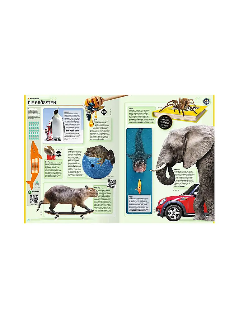 RAVENSBURGER | Libro - Guinness World Records - 2026 | 