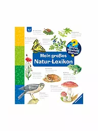RAVENSBURGER | Libro - Wieso Weshalb Warum - Il mio grande lessico della natura | Senza colore