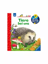RAVENSBURGER | Libro - Wieso Weshalb Warum junior: Animali intorno a noi Volume 33 | Senza colore
