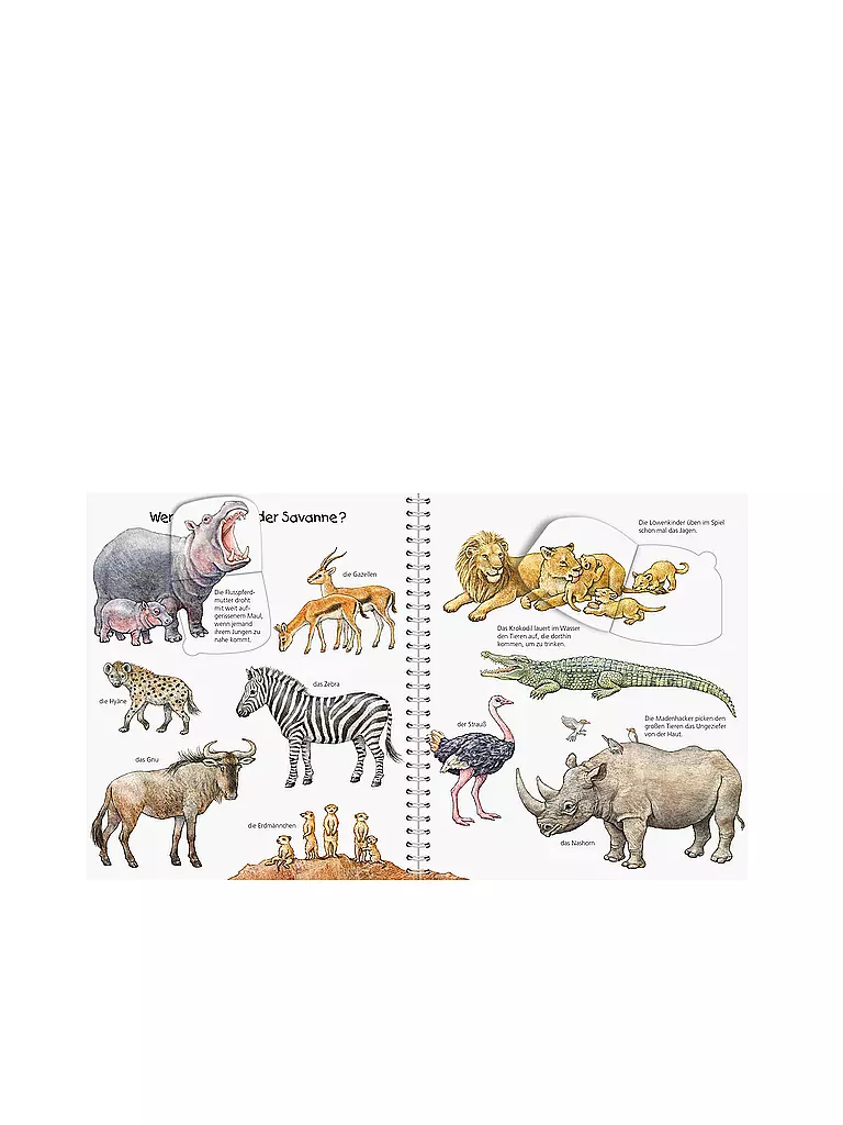 RAVENSBURGER | Libro - Wieso Weshalb Warum Junior - Il mio Junior-Lexikon Animali | Senza colore