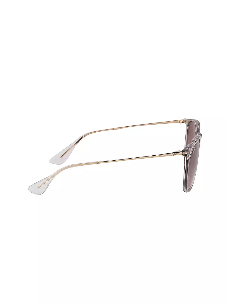 RAY BAN | Occhiali da sole 0RB4171/54 | Marrone chiaro