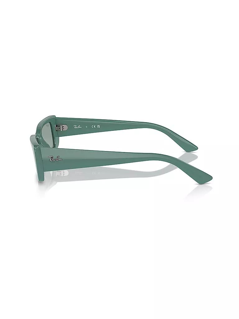 RAY BAN | Occhiali da sole 0RB4425/54 TERU |