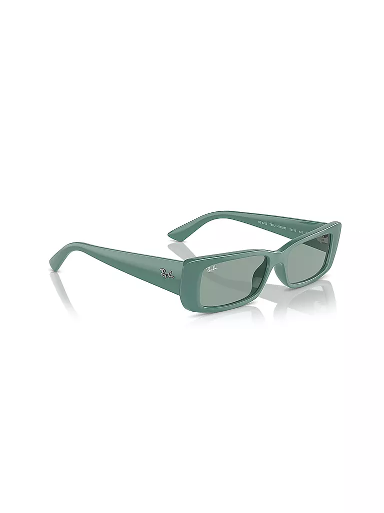 RAY BAN | Occhiali da sole 0RB4425/54 TERU |