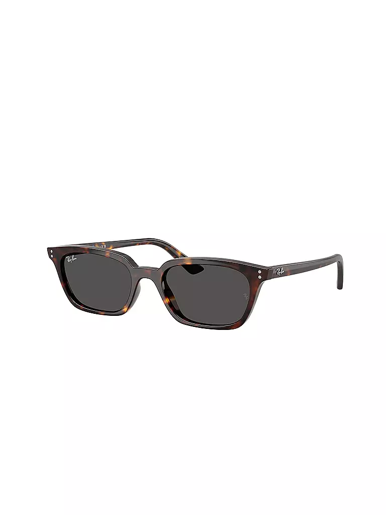 RAY BAN | Occhiali da sole 0RB4456/53 | Marrone