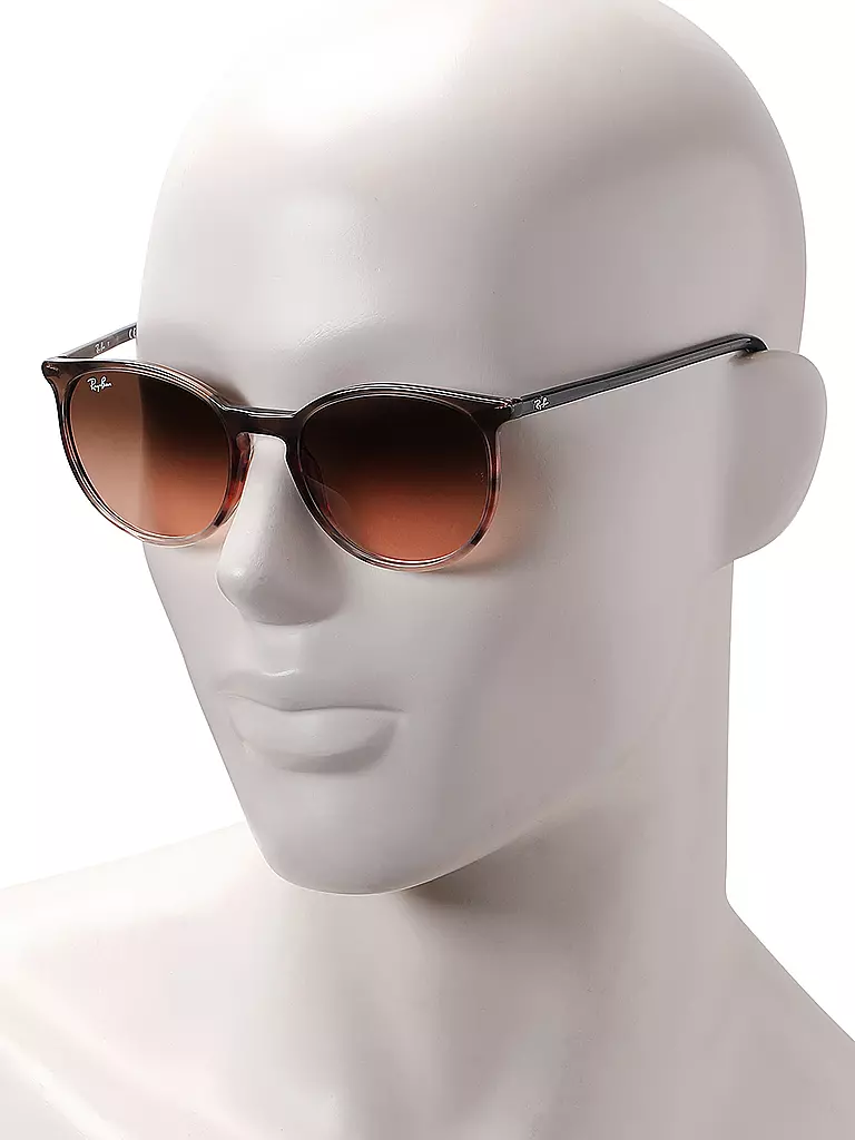 RAY BAN | Occhiali da sole 2204/54 | 