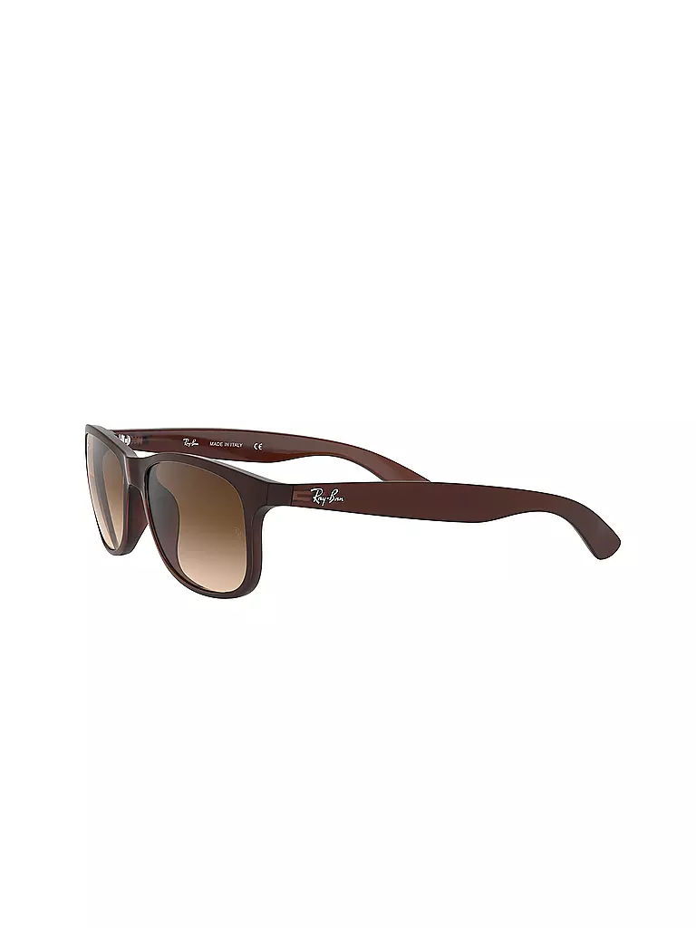 RAY BAN | Occhiali da sole 4202/55 | Marrone