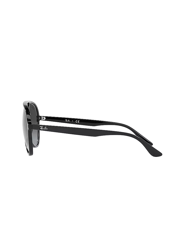 RAY BAN | Occhiali da sole 4376/57 | 