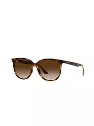 RAY BAN | Occhiali da sole 4378/54 | Marrone