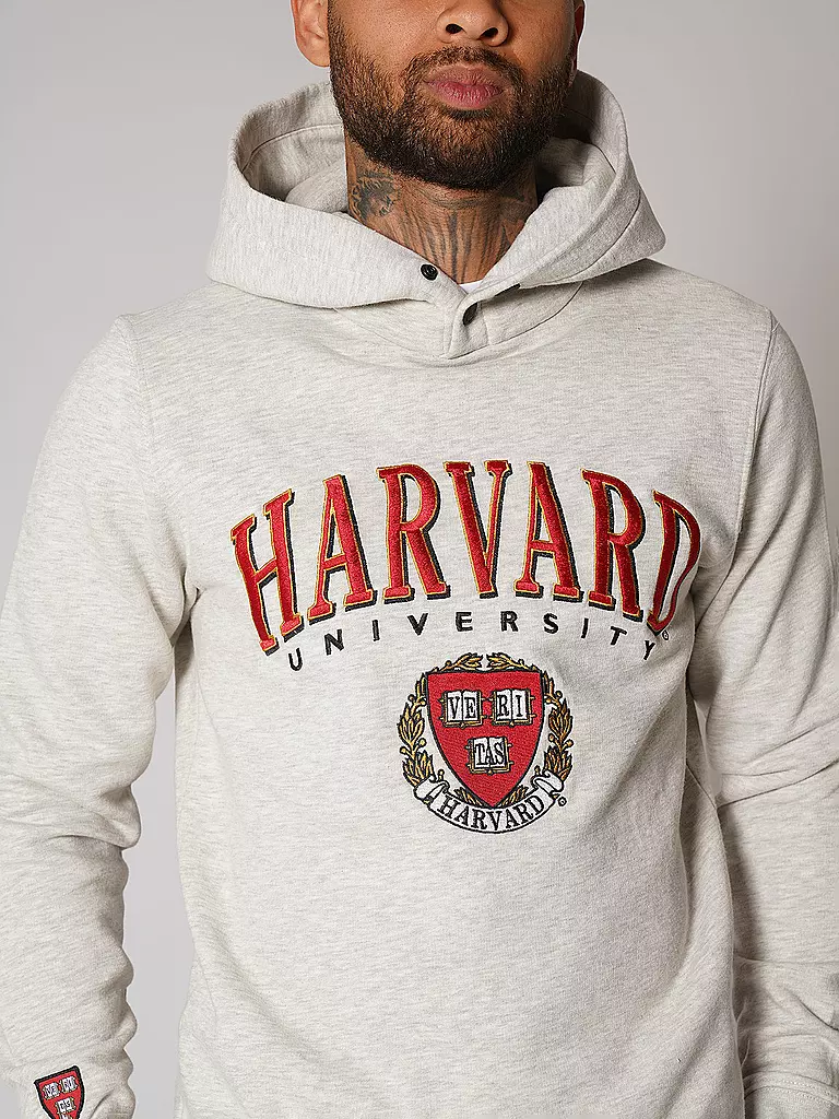 REPLAY | Kapuzensweater - Hoodie COLLEGE HARVARD | Grigio