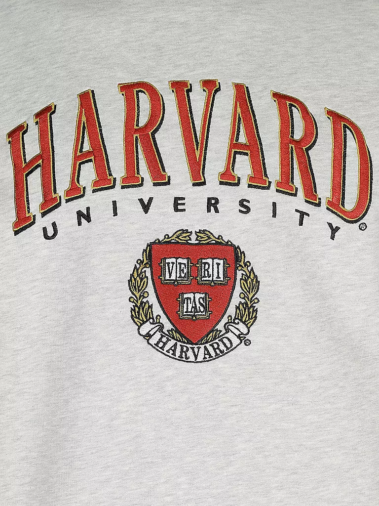 REPLAY | Kapuzensweater - Hoodie COLLEGE HARVARD | Grigio