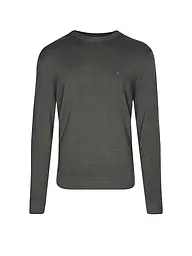REPLAY | Pullover | Oliva