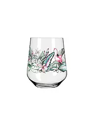 RITZENHOFF | Set di 2 bicchieri Gin Tumbler SCHATTENFAUNA #5 #6 | Multicolore