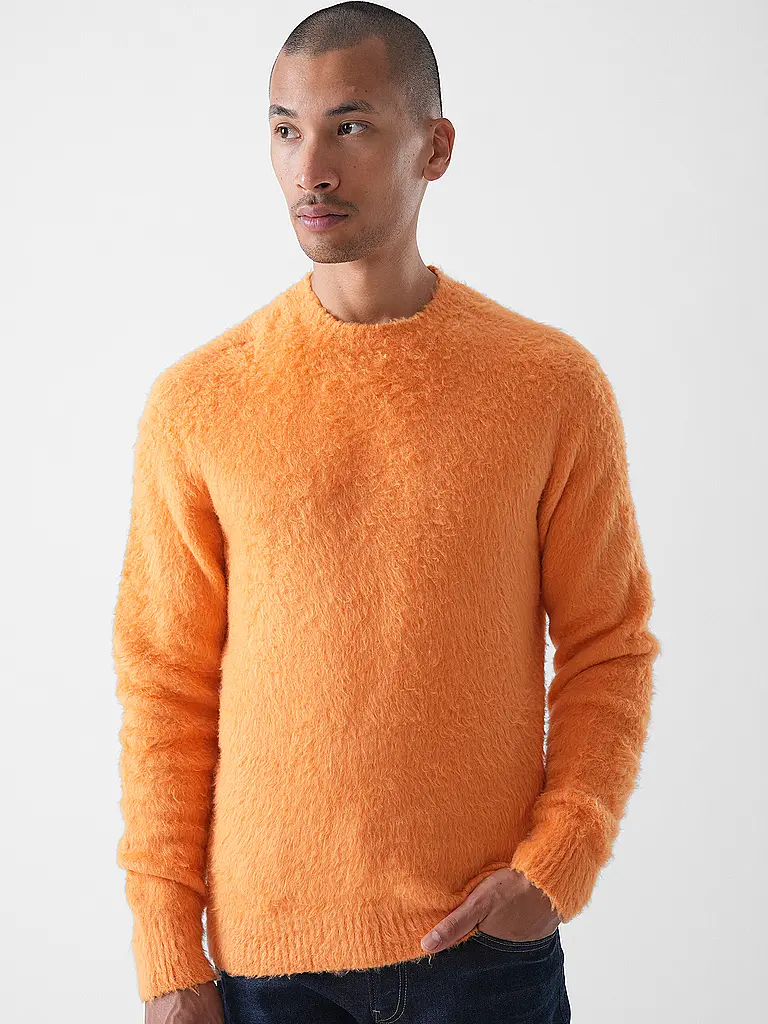 ROBERTO COLLINA | Pullover | 