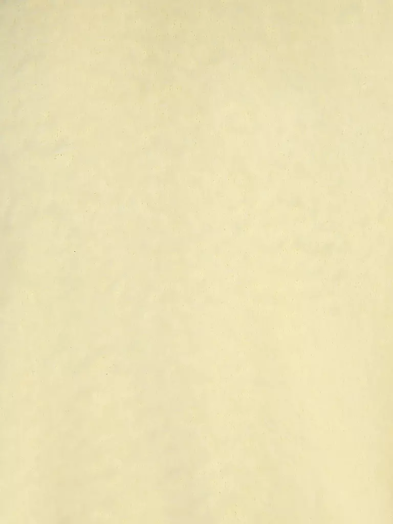 ROBERTO COLLINA | Pullover | 