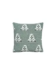 SANDER | Federa per cuscino natalizio 35x50cm BOREAS Blue Fox | Menta
