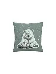 SANDER | Federa per cuscino natalizio 45x45cm ARKTOS Blue Fox | Menta