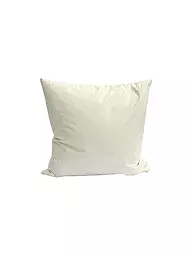 SANDER | Imbottitura per cuscino in piume 40x40 cm color crema | Crema