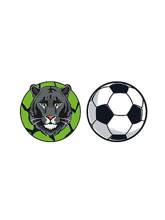 SCHNEIDERS | Patches Pantera/Pallone da calcio