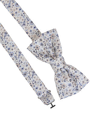 SEIDENFALTER | Papillon