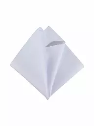 SEIDENFALTER | Fazzoletto da taschino | Bianco