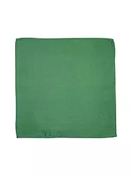 SEIDENFALTER | Fazzoletto da taschino | Verde