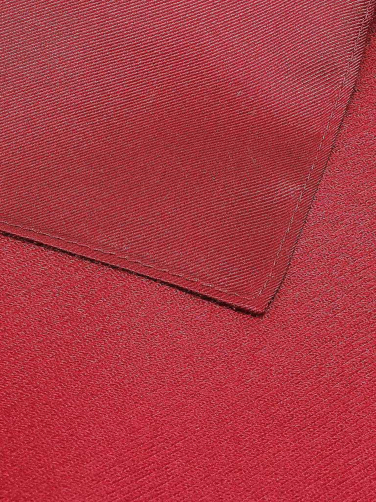 SEIDENFALTER | Fazzoletto da taschino | Rosso