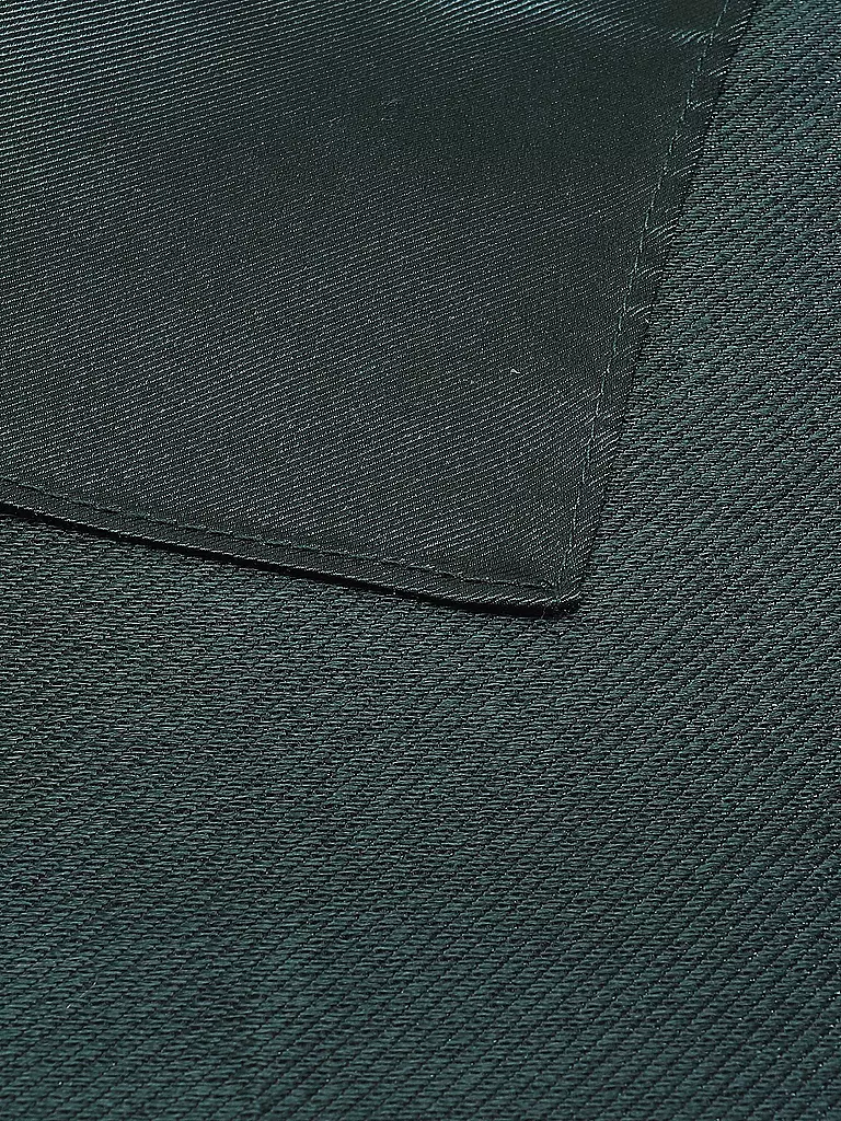 SEIDENFALTER | Fazzoletto da taschino | Verde