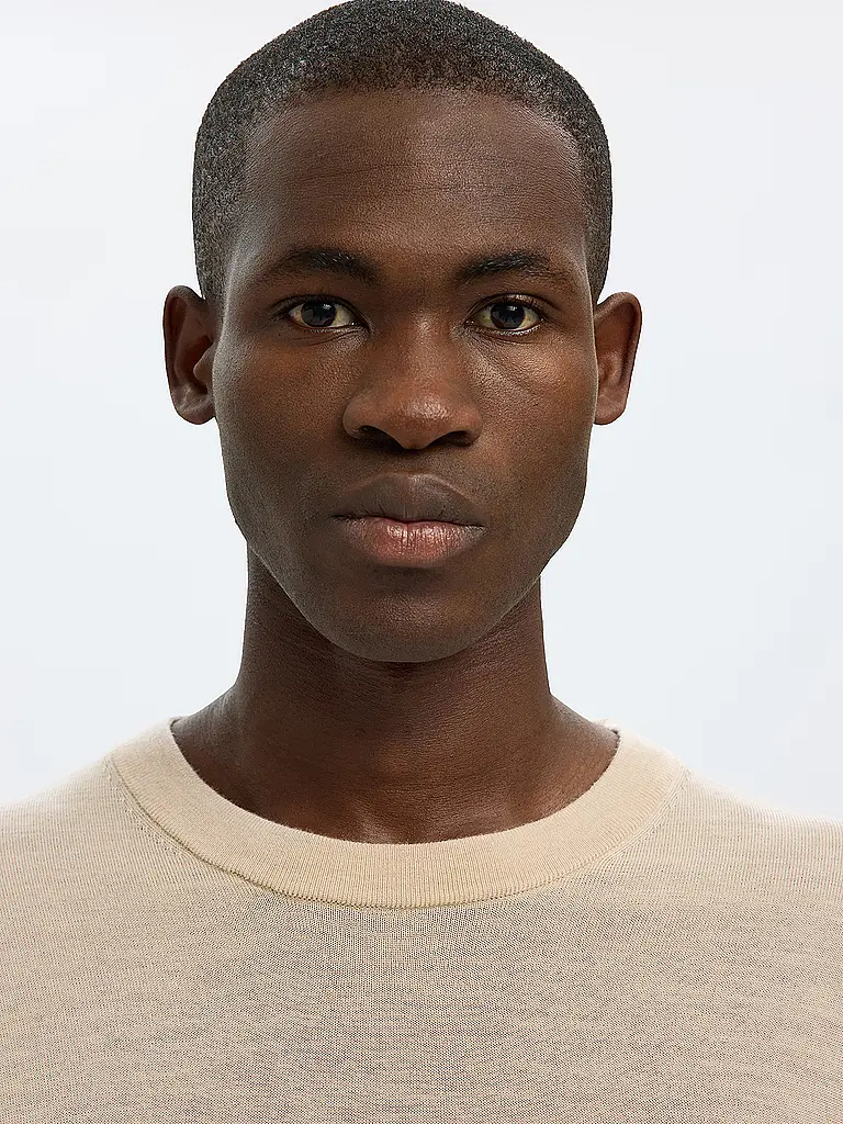 SELECTED | Pullover SLHTRAY | Marrone