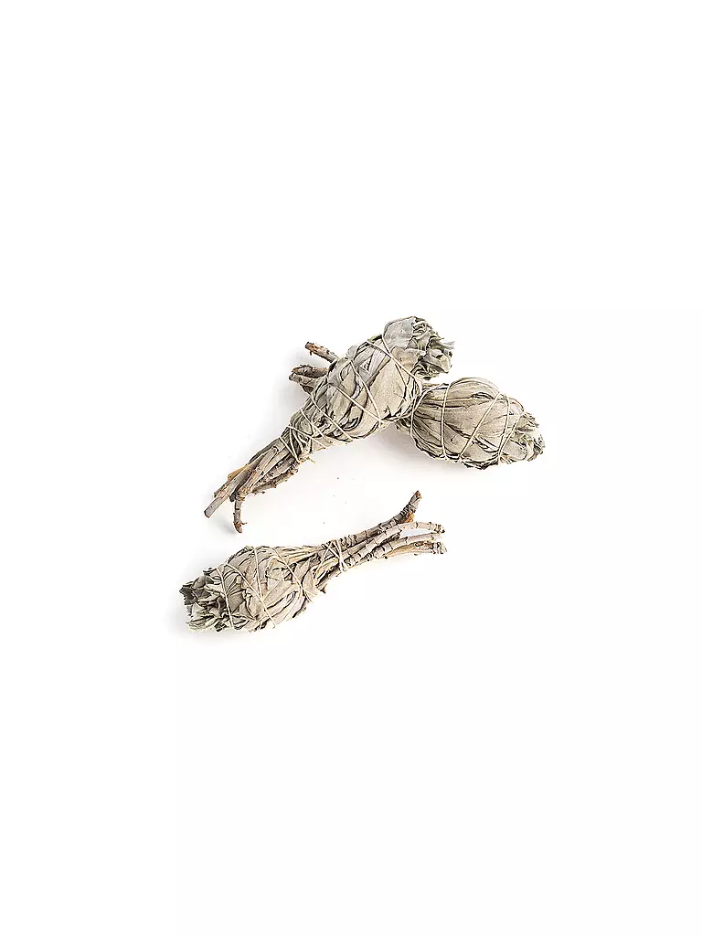 SENTARA | Bastoncini di incenso alla salvia mini | Verde chiaro