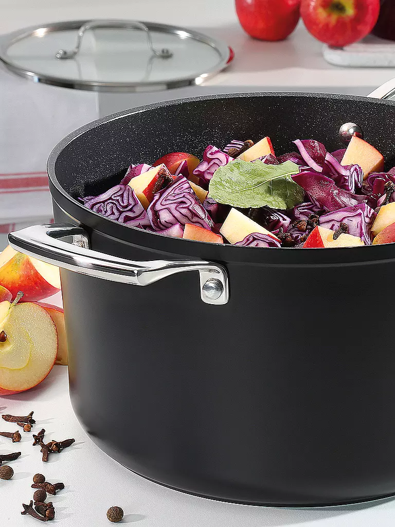 SPRING | Casseruola MERIDIAN Intense Pro 20cm / 3l antiaderente | Nero