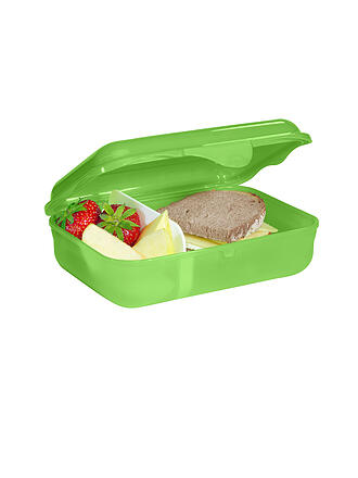 STEP BY STEP | Lunchbox Dino Targo Verde