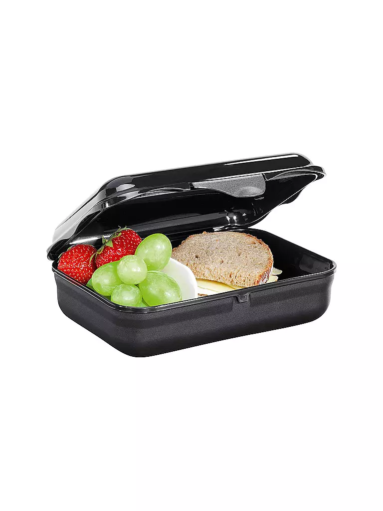 STEP BY STEP | Lunchbox - Wild Cat Chiko | Nero