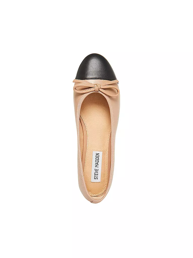 STEVE MADDEN | Ballerine ELLISON | 