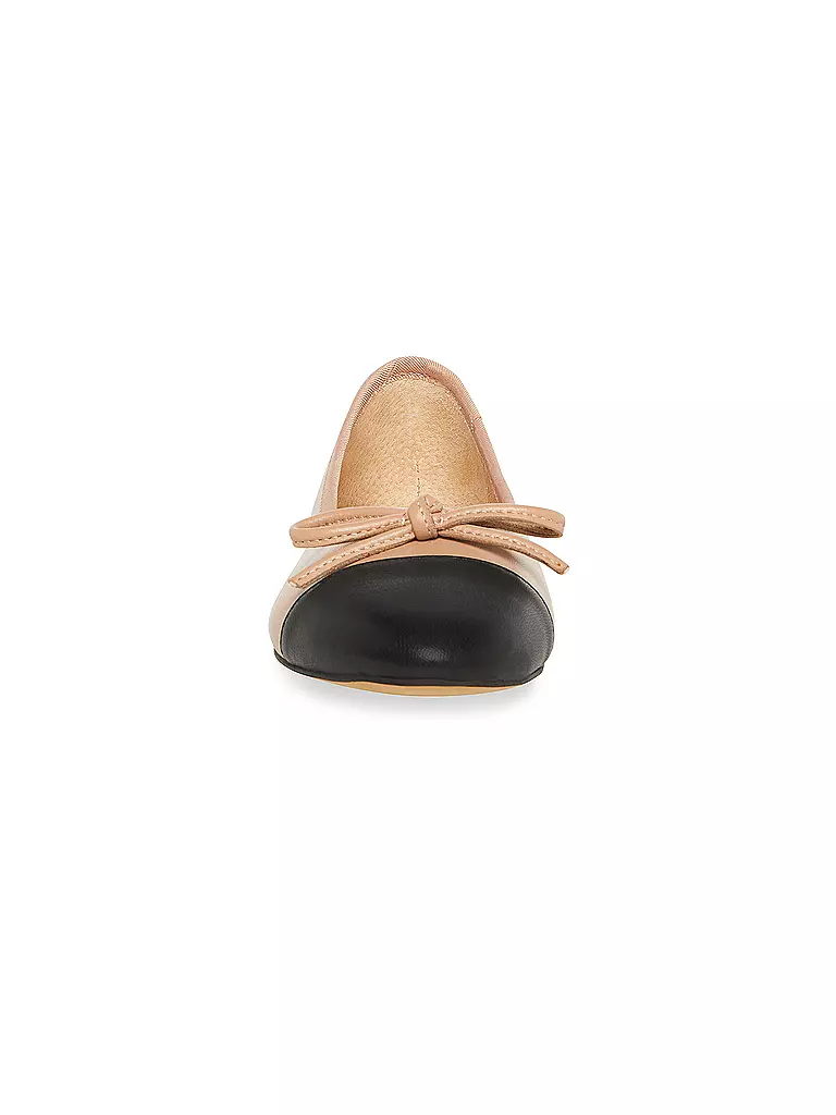 STEVE MADDEN | Ballerine ELLISON | 