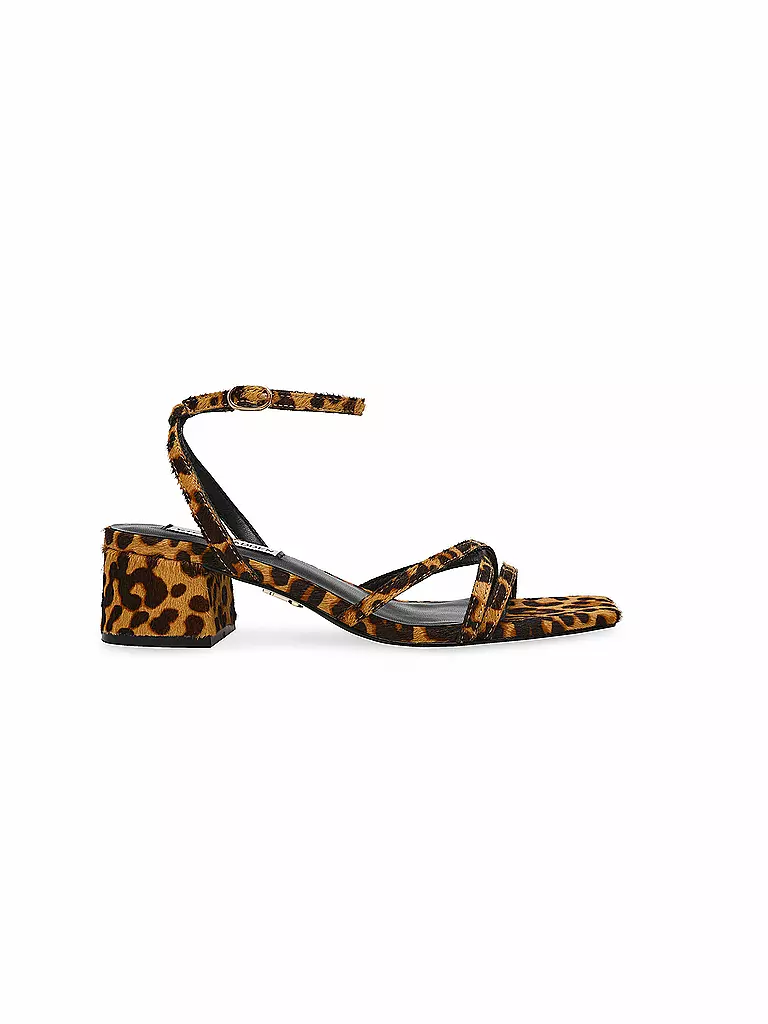 STEVE MADDEN | Sandali GABBY L | Marrone