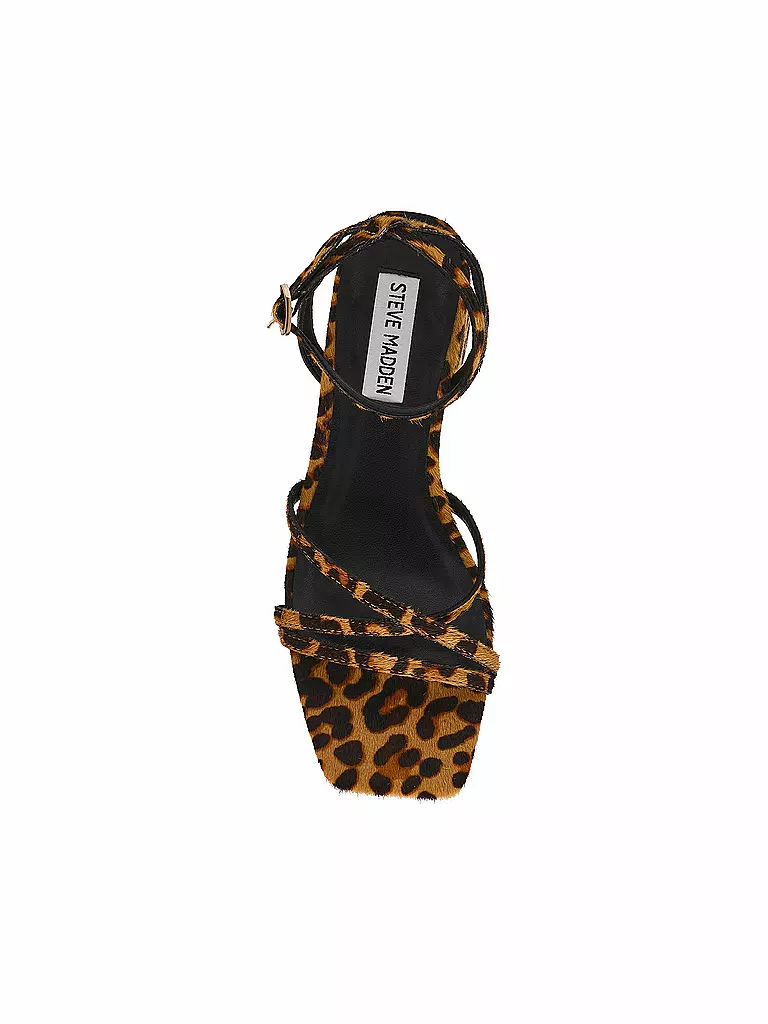 STEVE MADDEN | Sandali GABBY L | 