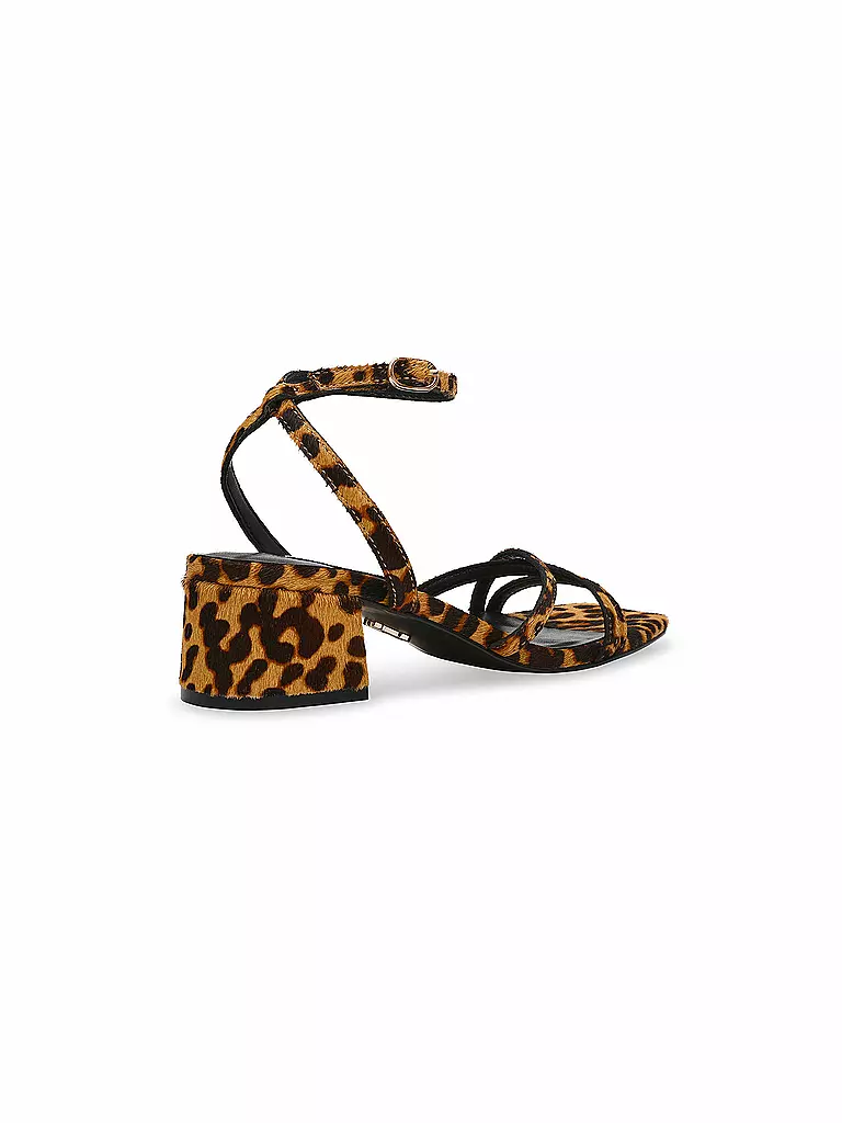 STEVE MADDEN | Sandali GABBY L | 