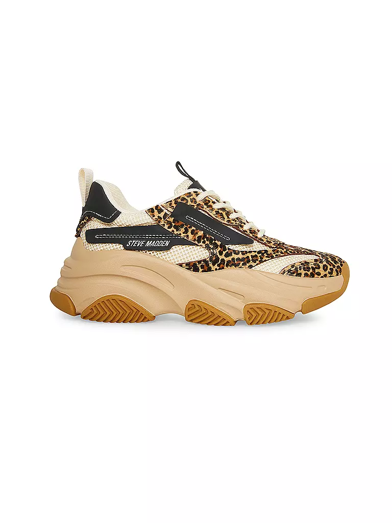 STEVE MADDEN | Sneaker POSSESSION-E | Marrone