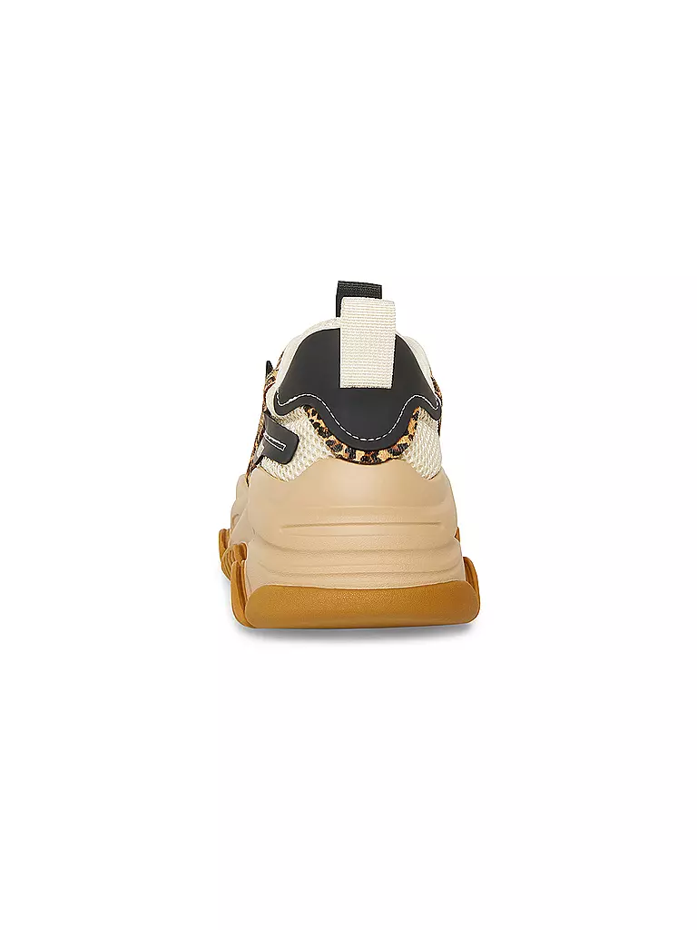 STEVE MADDEN | Sneaker POSSESSION-E | Marrone