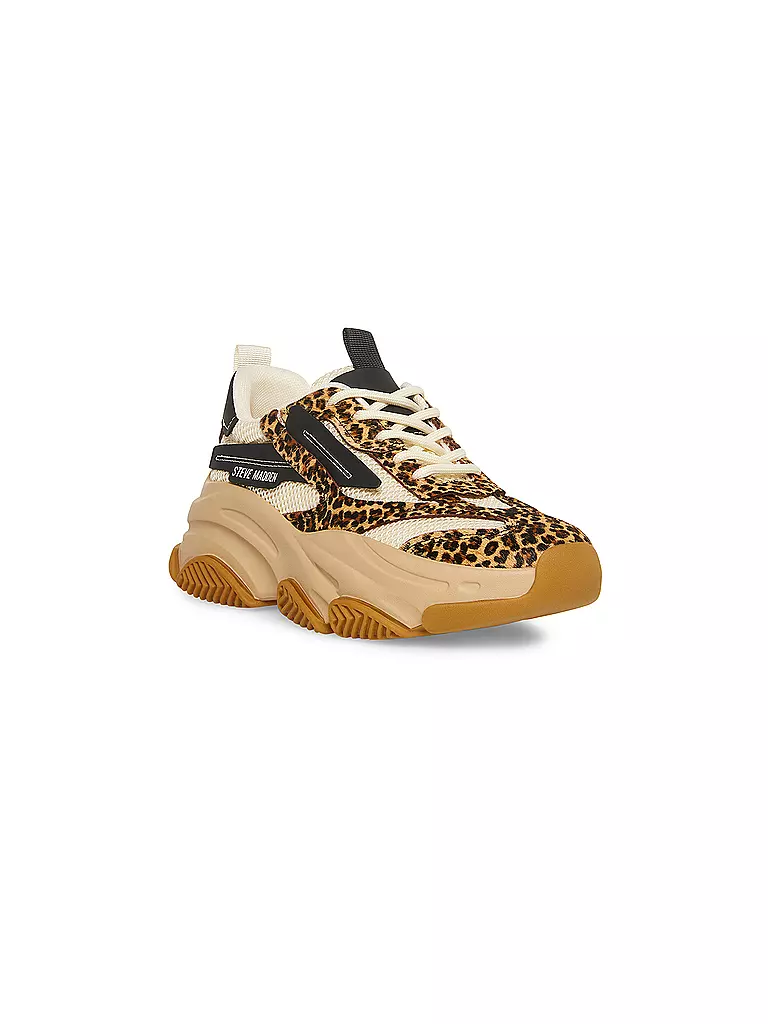 STEVE MADDEN | Sneaker POSSESSION-E | Marrone