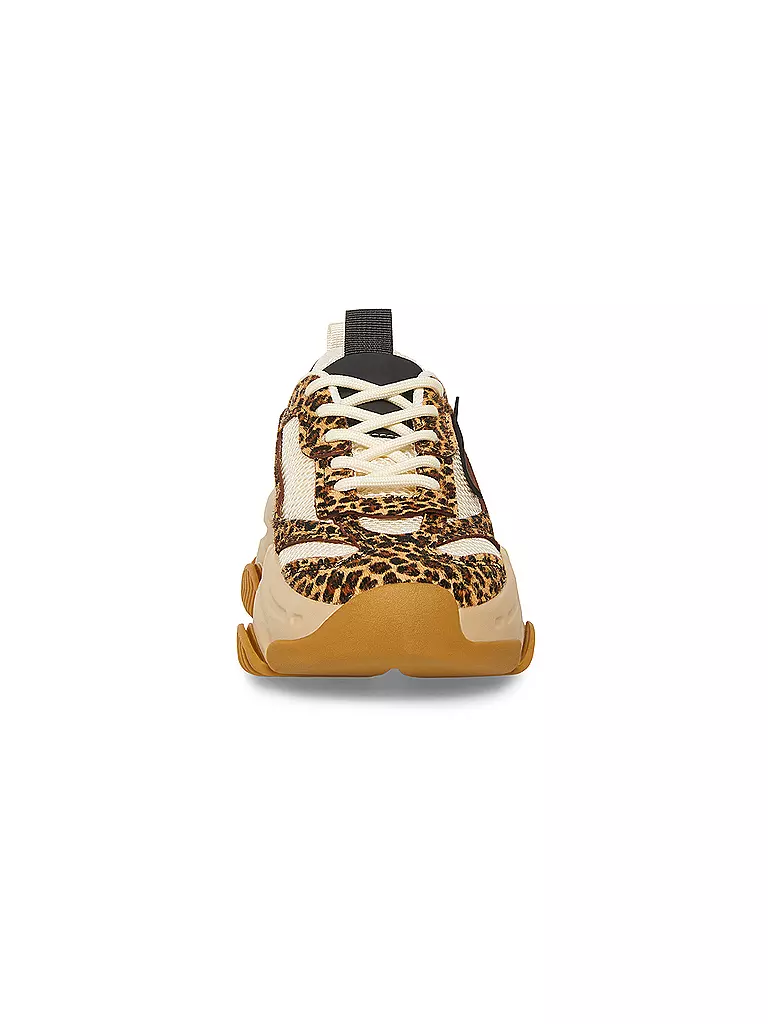 STEVE MADDEN | Sneaker POSSESSION-E | Marrone
