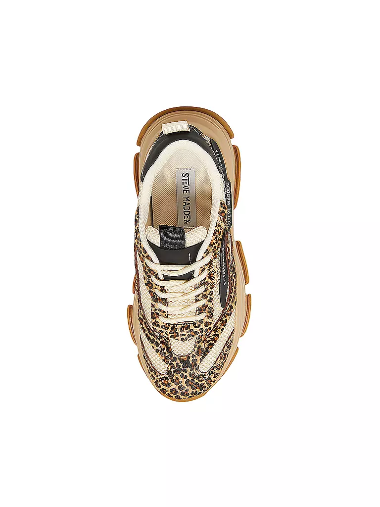 STEVE MADDEN | Sneaker POSSESSION-E | Marrone