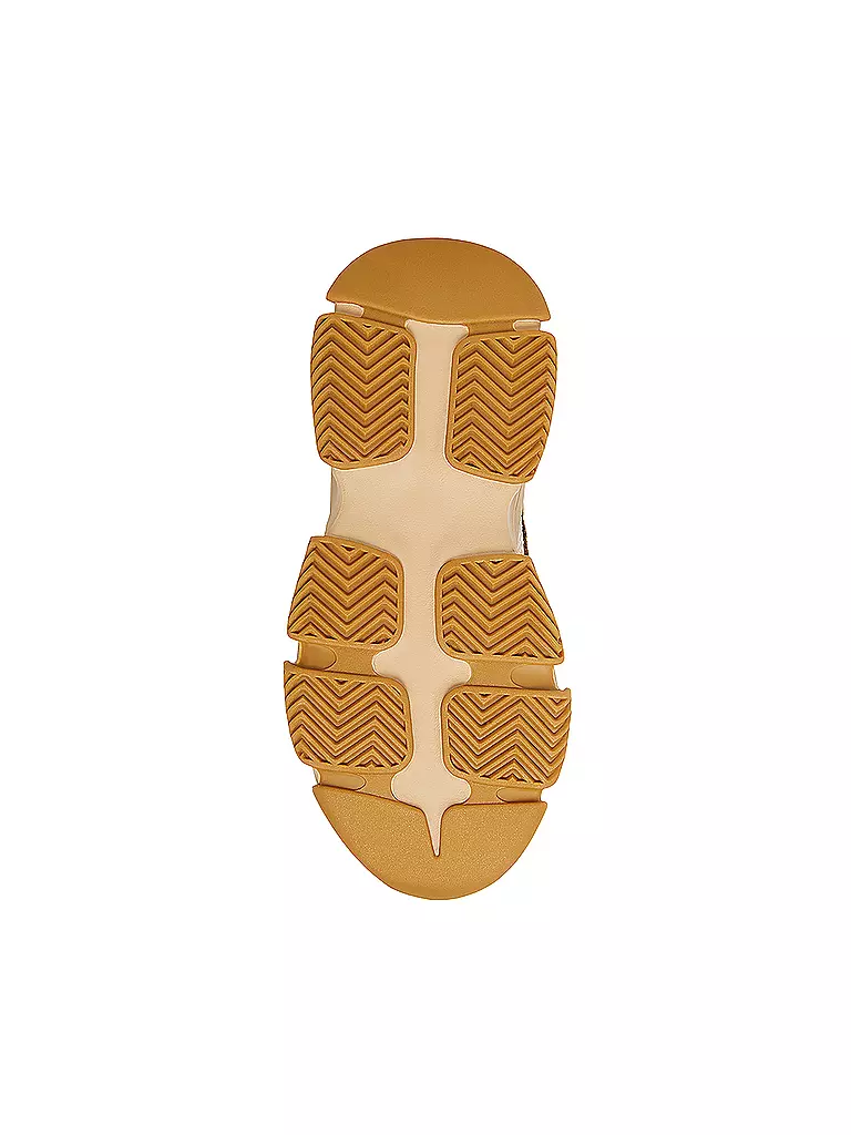 STEVE MADDEN | Sneaker POSSESSION-E | Marrone
