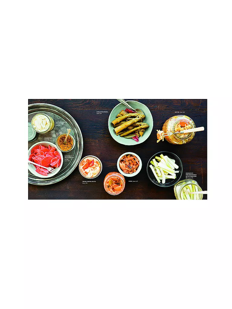 SUITE | Ricettario - Fermentazione | Senza colore