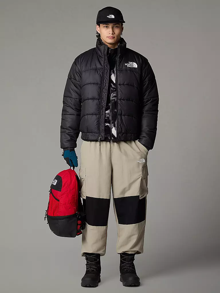 THE NORTH FACE | Giacca imbottita | Nero