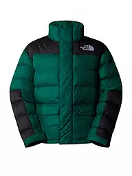 THE NORTH FACE | Steppjacke LIMBARA | Verde scuro